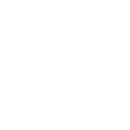 Innovation in Engineering icon