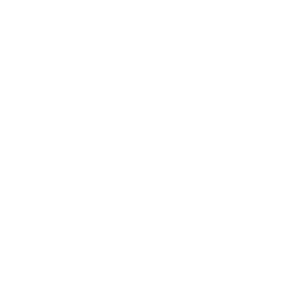 Integrity in Everything icon